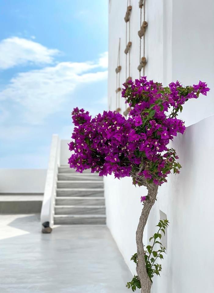 Dl Santorini Hotel Monolithos