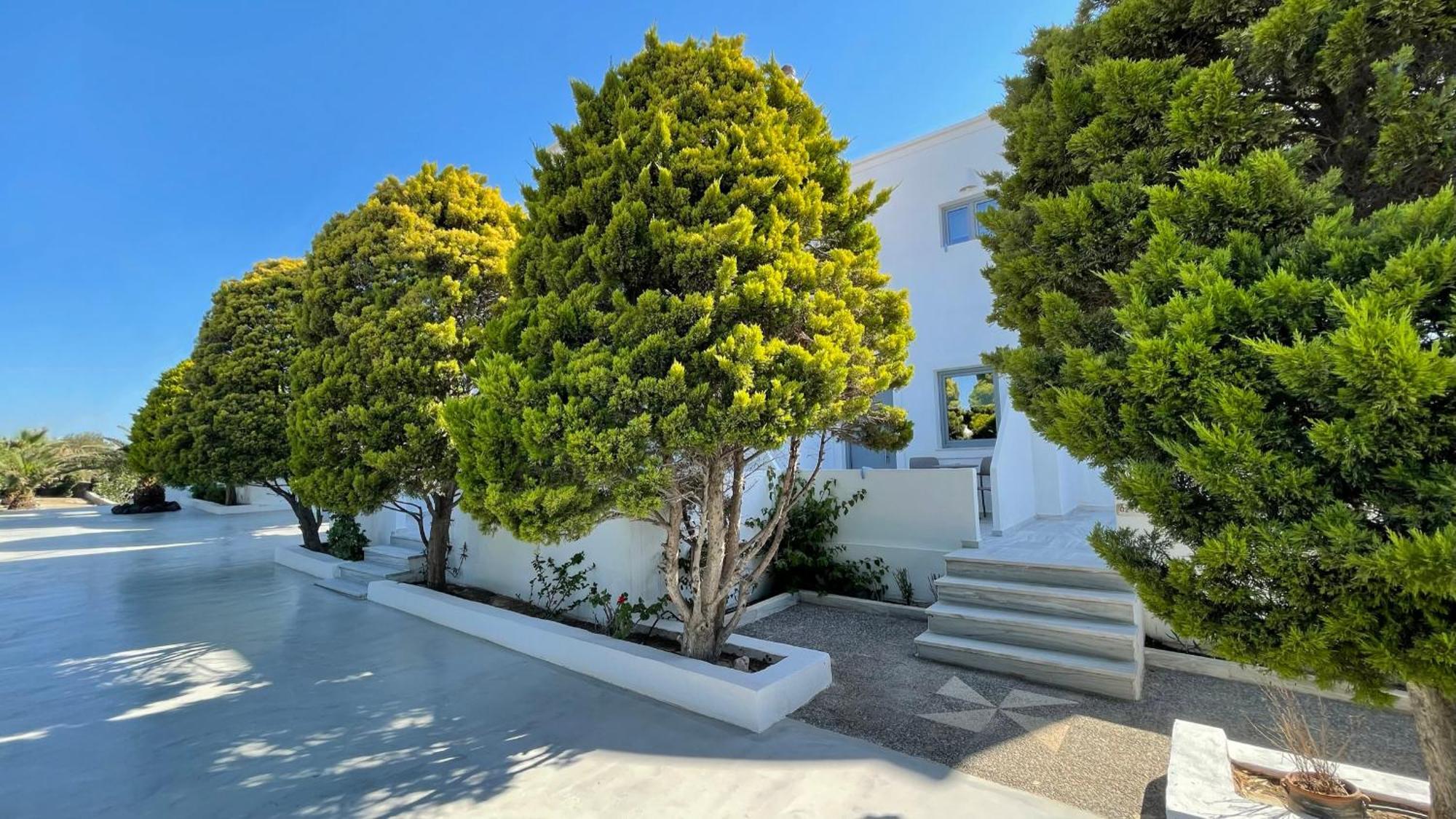 Dl Santorini Hotel